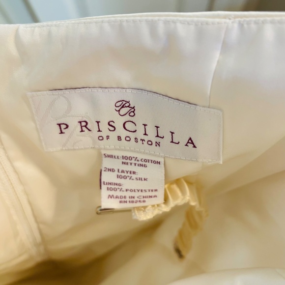 Priscilla of Boston Gown - Picture 10 of 10